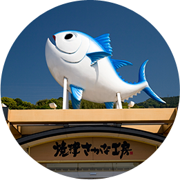 海の坊や「海坊(しーぼう)」